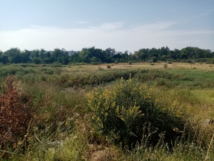 Commercial Property for Sale in Brandfort Free State